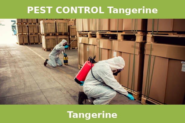 PEST CONTROL Tangerine